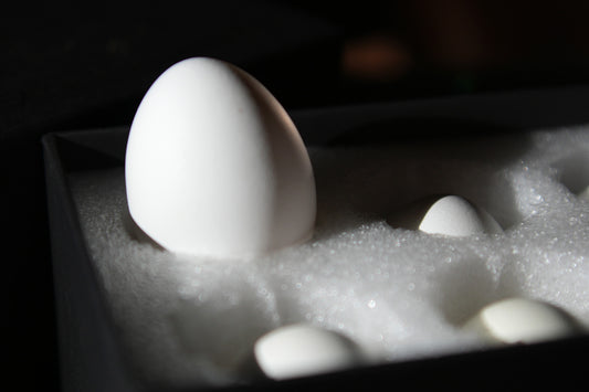 Bacon Eggshell
