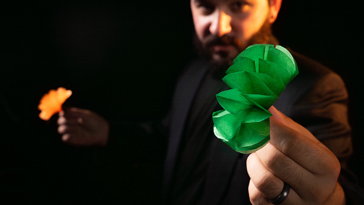 SPRING FLOWERS (2 PK PAPER)