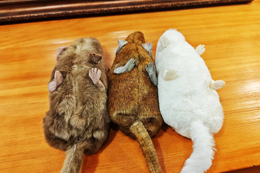 The lively mouse by Ferry