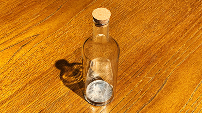 Real Coin in Bottle by Bacon Magic
