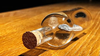 Real Coin in Bottle by Bacon Magic