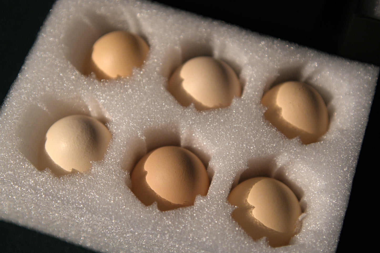 Bacon Eggshell