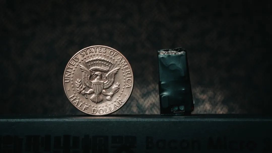 Bacon Micro Smoke by Wang Ji