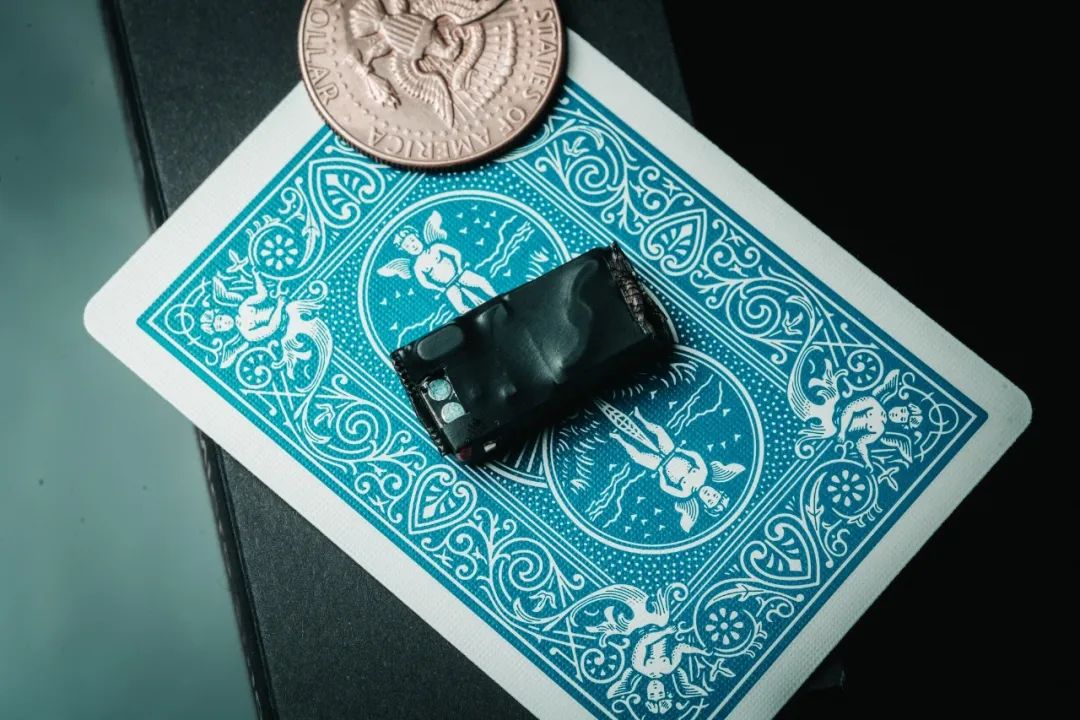 Bacon Micro Smoke by Wang Ji