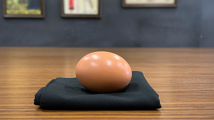Egg Bag