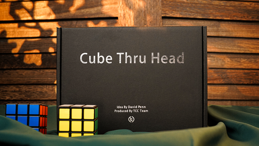 The Cube Through Head by David Penn
