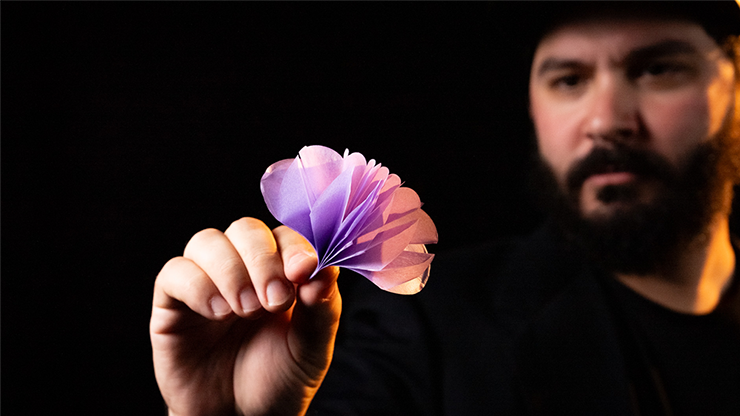 SPRING FLOWERS (2 PK PAPER)