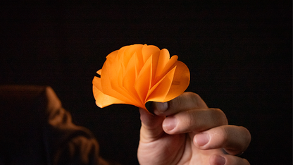 SPRING FLOWERS (2 PK PAPER)