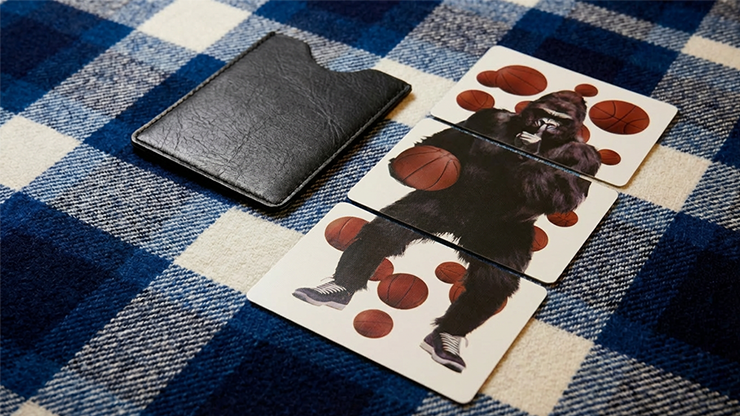 A.P.E.- A Perception Experiment