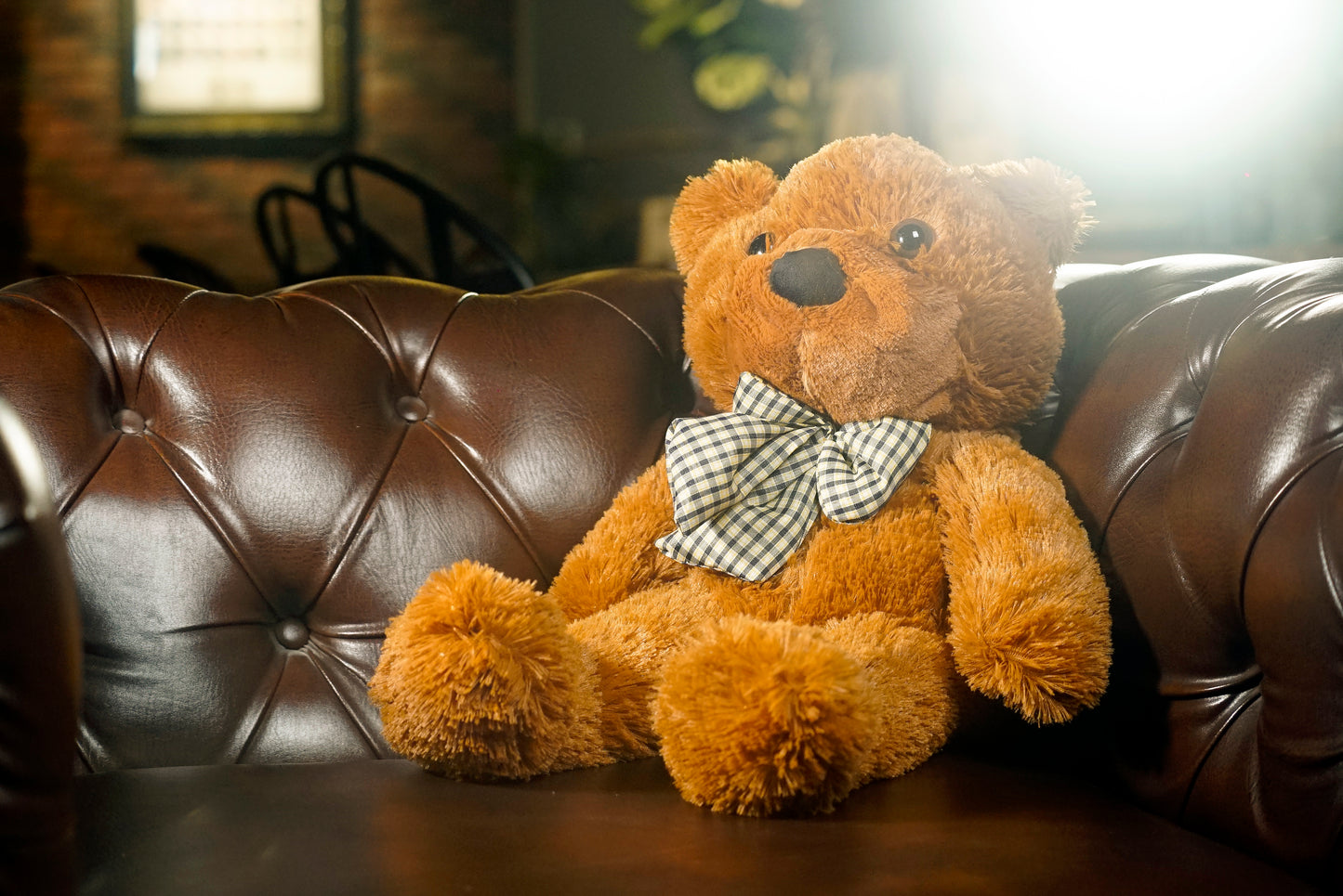 Appearing Teddy Bear by Bacon Magic