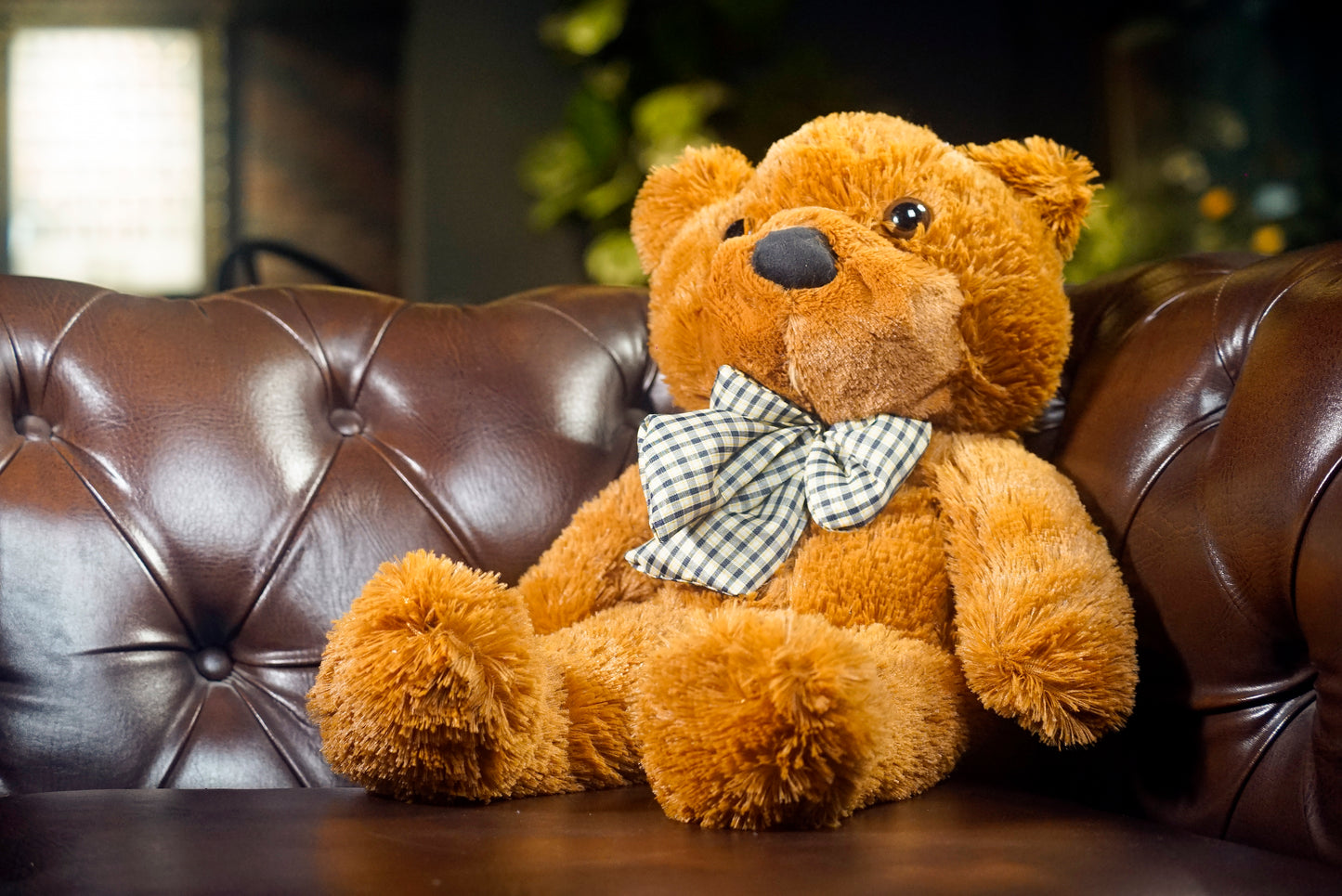 Appearing Teddy Bear by Bacon Magic