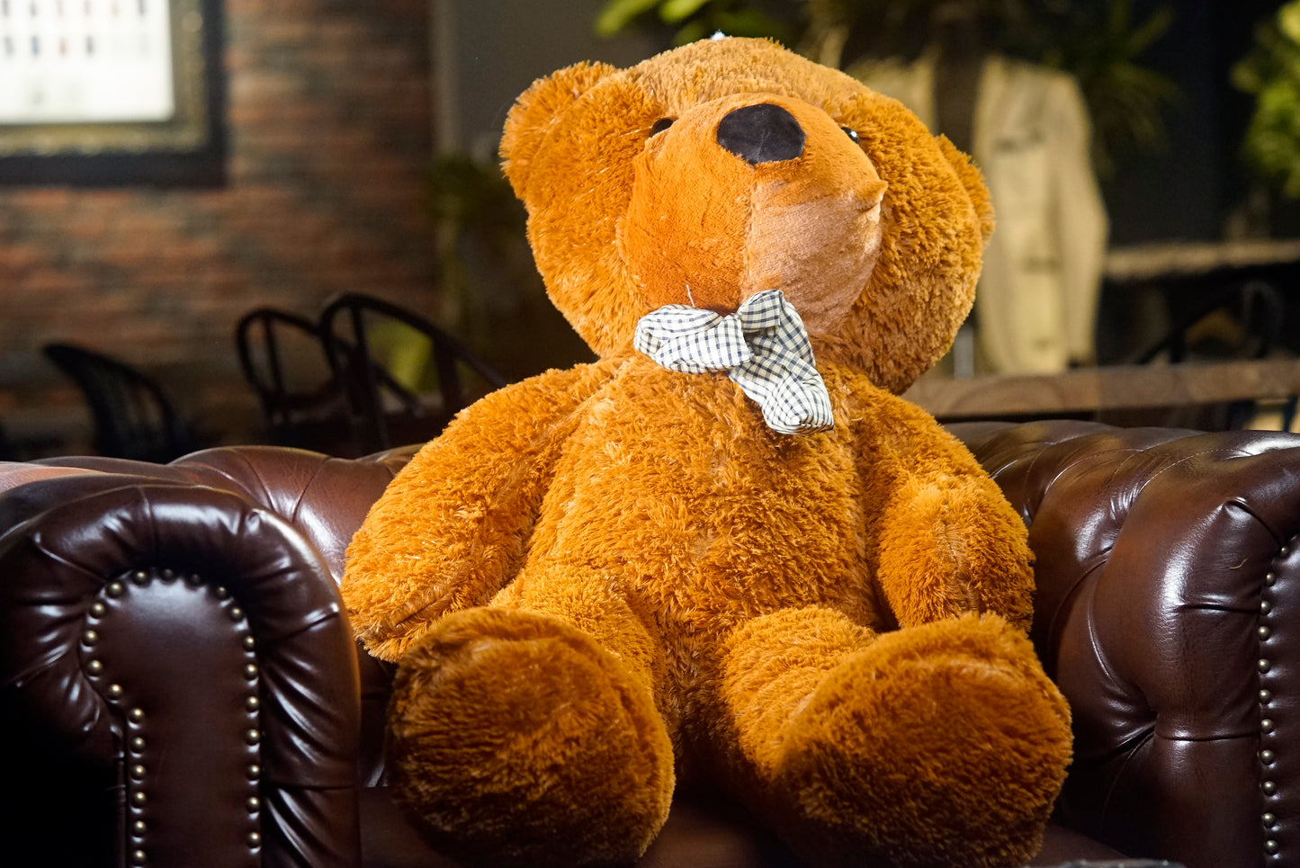 Appearing Teddy Bear by Bacon Magic