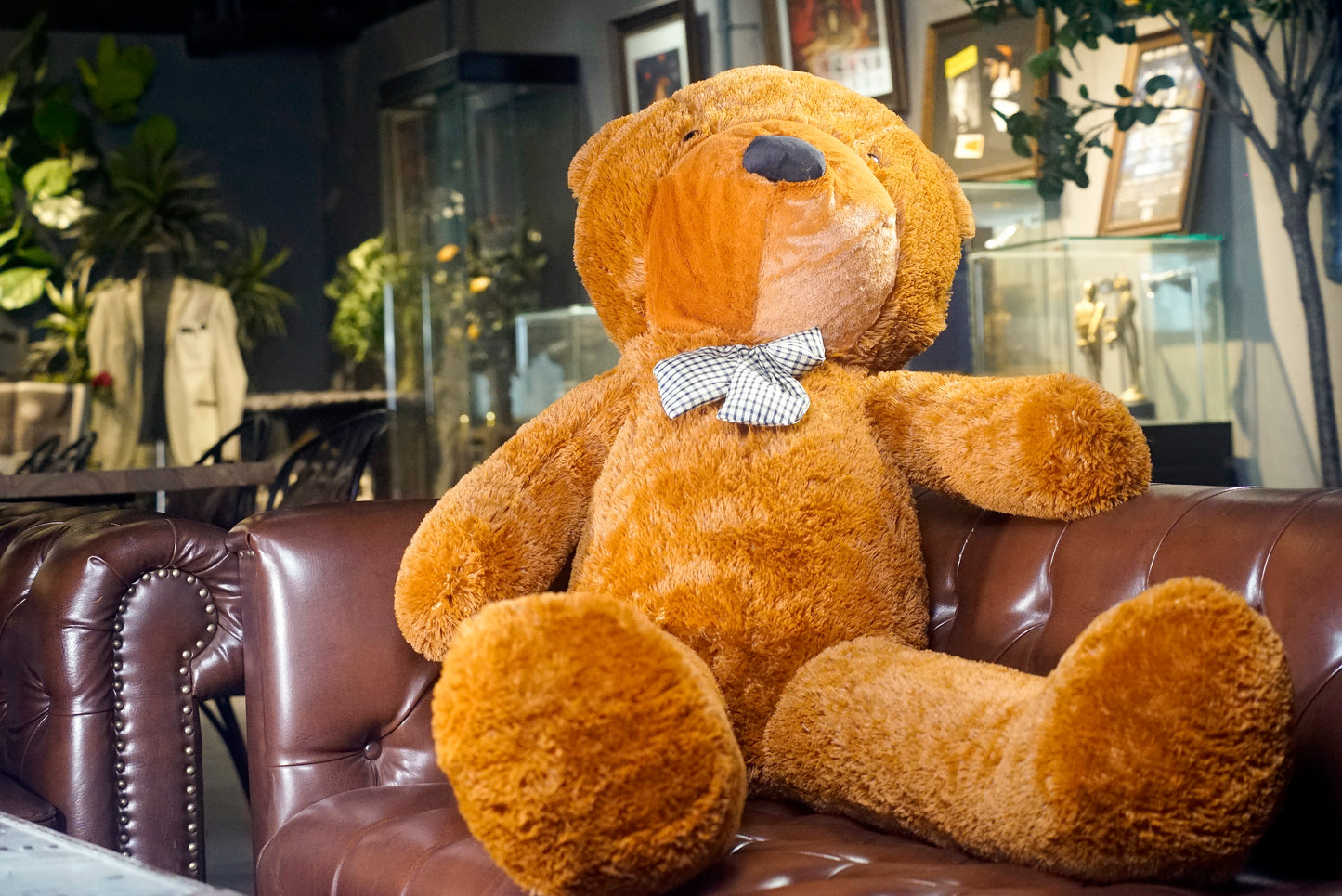 Appearing Teddy Bear by Bacon Magic