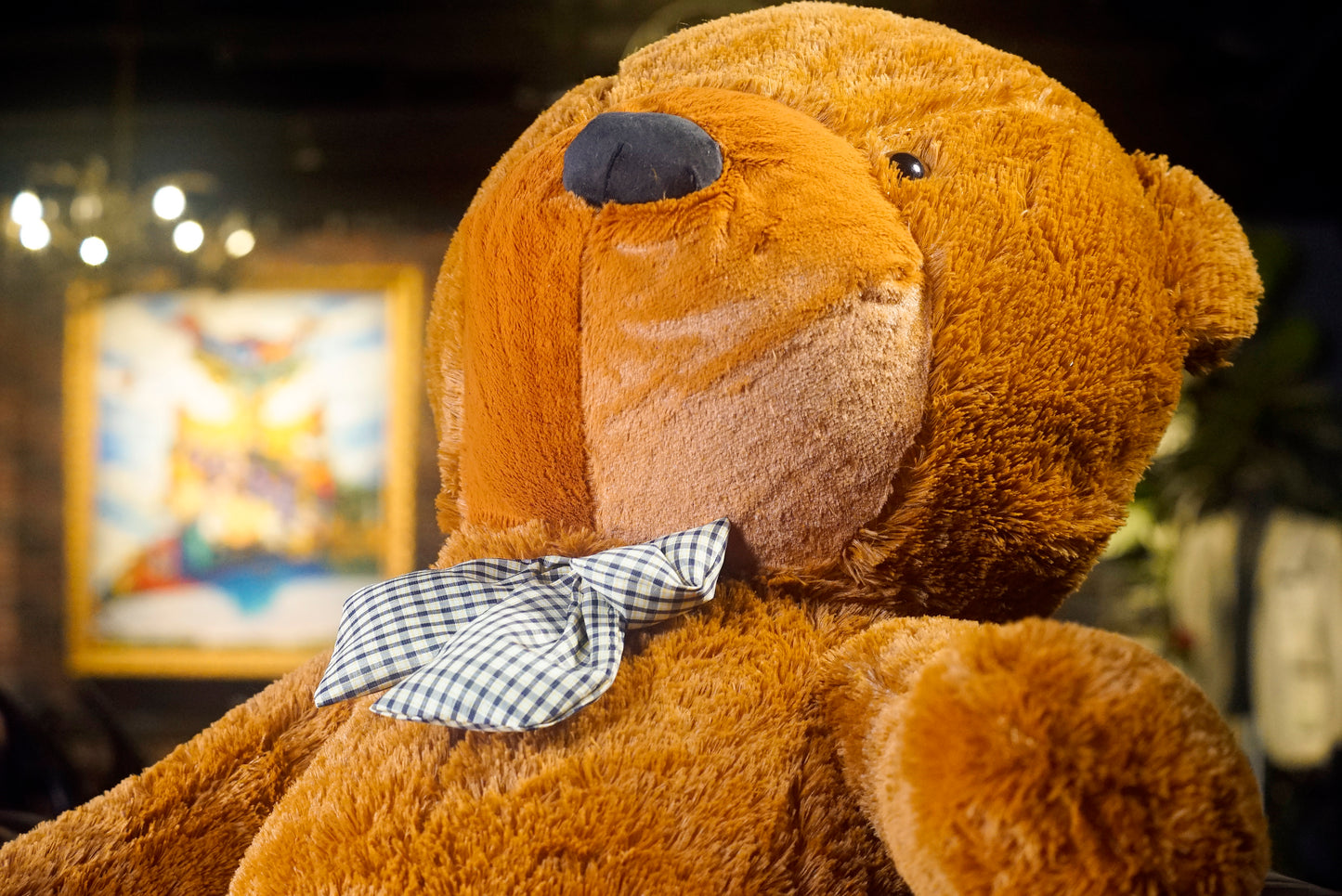 Appearing Teddy Bear by Bacon Magic