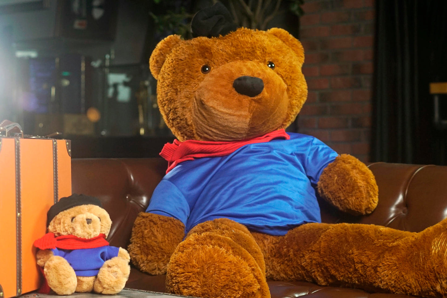 Appearing Teddy Bear by Bacon Magic