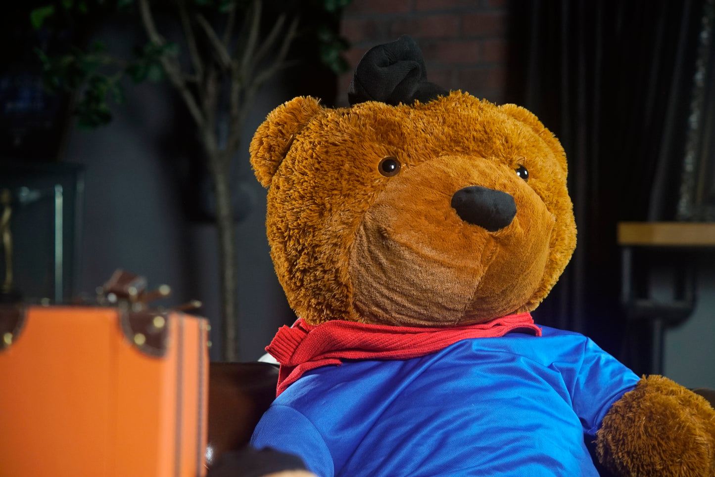 Appearing Teddy Bear by Bacon Magic