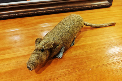 The lively mouse by Ferry