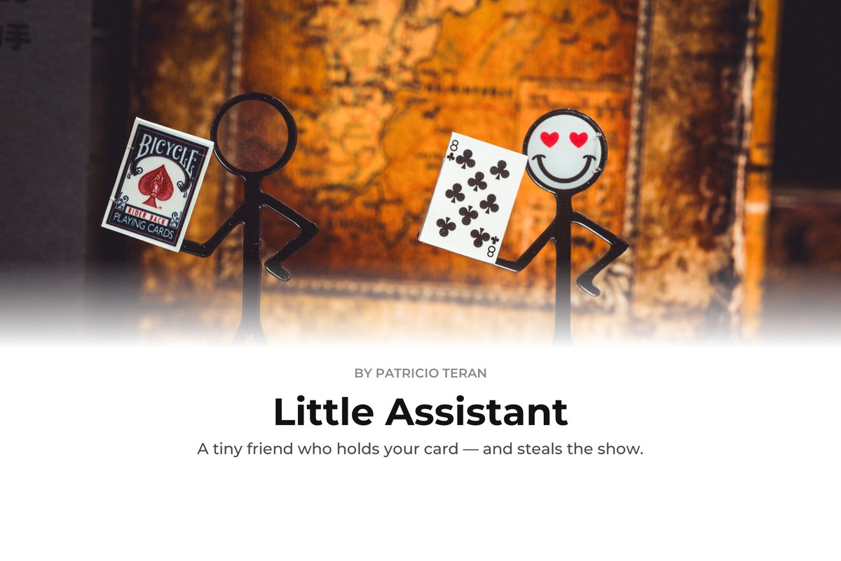 Little Assistant by Patricio Teran