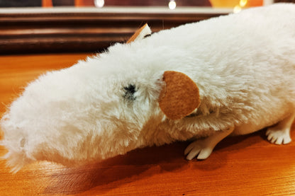 The lively mouse by Ferry