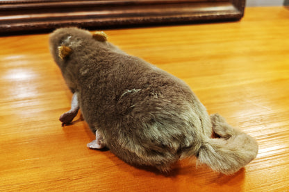 The lively mouse by Ferry