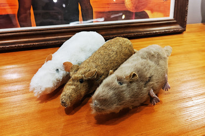 The lively mouse by Ferry