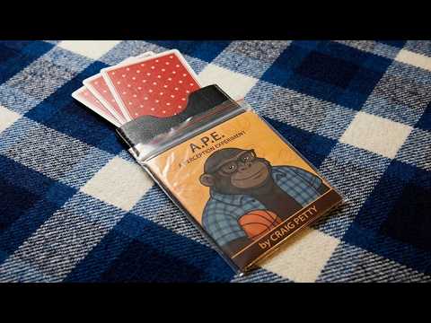 A.P.E.- A Perception Experiment