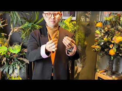 Wing Coin by Harry He