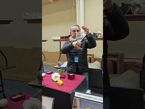 Mario Egg Production