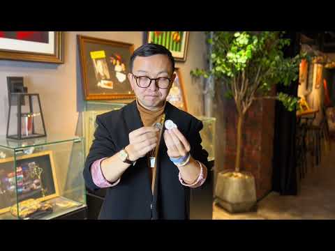 Wing Coin by Harry He